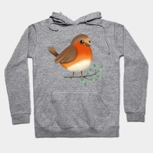 Robin redbreast Hoodie